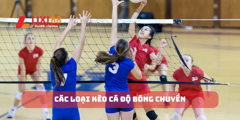 Kèo Cược Xiên Cách Cá Cược Và Những Điều Cần Lưu Ý 5 Các loại kèo cá độ bóng chuyền