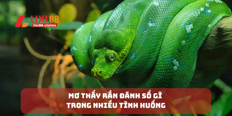 Nằm Mơ Thấy Người Thân Đã Mất Ý Nghĩa Giấc Mơ Và Số Đánh 6 Mơ thấy rắn đánh số gì trong nhiều tình huống