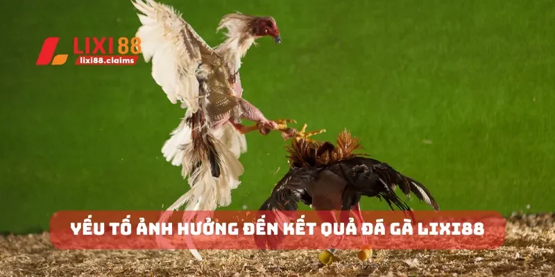 Yếu tố ảnh hưởng đến kết quả đá gà Lixi88